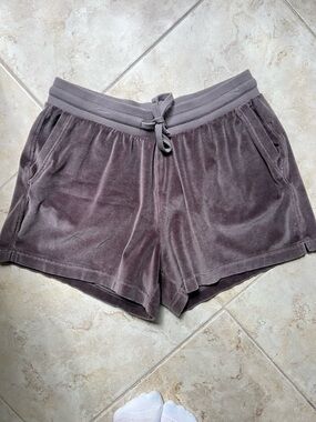 ‼️NWOT: Pact Organic Cotton Velour Shorts - L